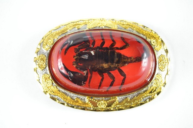 Wholesale RED Real Scorpion Belt Buckles